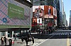 4523.jpg 4523.jpg