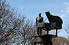 4858.jpg 4858.jpg