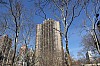 5036.jpg 5036.jpg