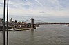 5317.jpg 5317.jpg