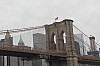 5731.jpg 5731.jpg