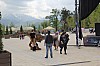 5903.jpg 5903.jpg