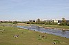 6299.jpg 6299.jpg