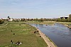 6302.jpg 6302.jpg