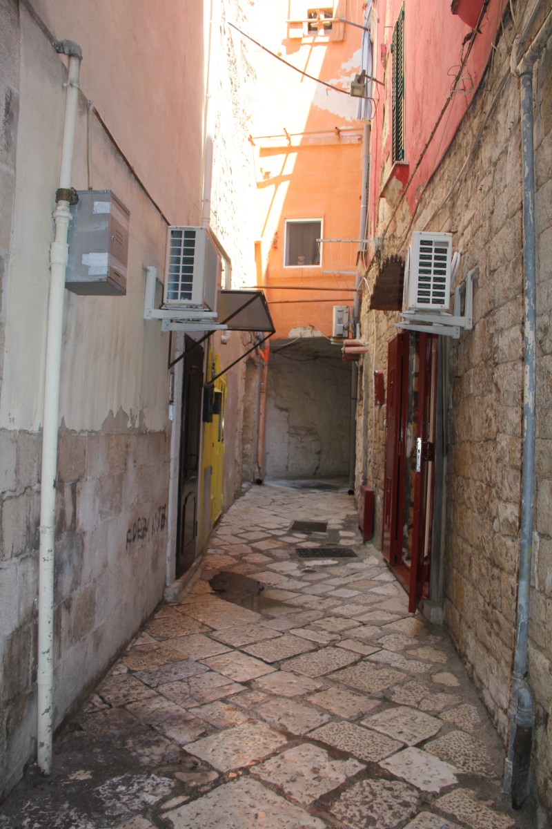 7410.jpg