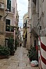 7237.jpg 7237.jpg
