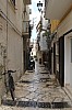 7238.jpg 7238.jpg