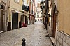 7252.jpg 7252.jpg