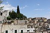 7061.jpg 7061.jpg
