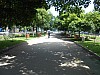 7678.jpg 7678.jpg