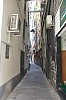 7946.jpg 7946.jpg