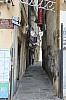 7955.jpg 7955.jpg