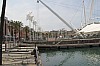 8038.jpg 8038.jpg