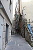 8117.jpg 8117.jpg