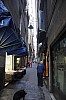 8182.jpg 8182.jpg