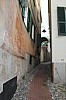 8233.jpg 8233.jpg