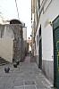 8235.jpg 8235.jpg