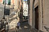 8249.jpg 8249.jpg