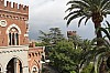 8570.jpg 8570.jpg