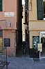8737.jpg 8737.jpg