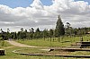 19572.jpg 19572.jpg