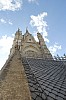 20478.jpg 20478.jpg