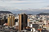 20502.jpg 20502.jpg