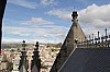 20503.jpg 20503.jpg