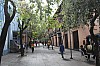 22739.jpg 22739.jpg