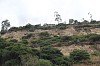 20792.jpg 20792.jpg