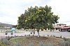20871.jpg 20871.jpg