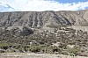 21922.jpg 21922.jpg