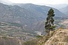 22025.jpg 22025.jpg