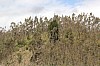 22106.jpg 22106.jpg