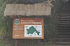 21198.jpg 21198.jpg