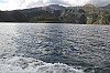 21231.jpg 21231.jpg