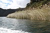 21245.jpg 21245.jpg