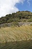 21248.jpg 21248.jpg