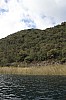 21255.jpg 21255.jpg
