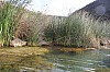 21287.jpg 21287.jpg