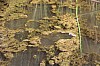 21296.jpg 21296.jpg
