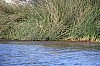 21297.jpg 21297.jpg
