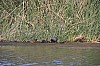 21298.jpg 21298.jpg