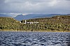 21307.jpg 21307.jpg