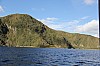21311.jpg 21311.jpg