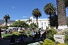 21449.jpg 21449.jpg