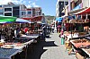 21567.jpg 21567.jpg