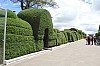 22220.jpg 22220.jpg