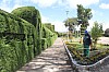 22226.jpg 22226.jpg