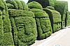 22230.jpg 22230.jpg